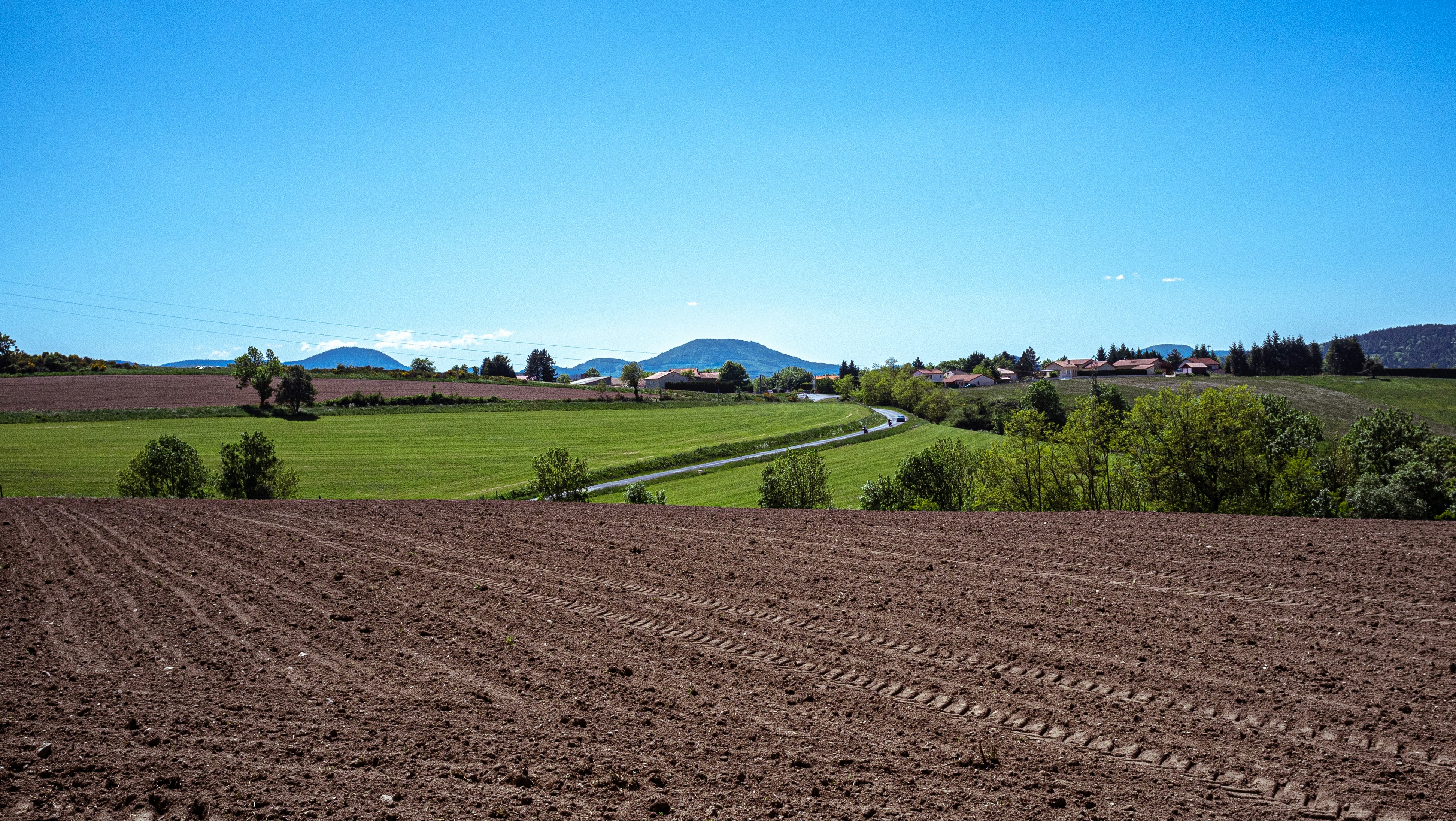 green grass field under blue sky during daytime