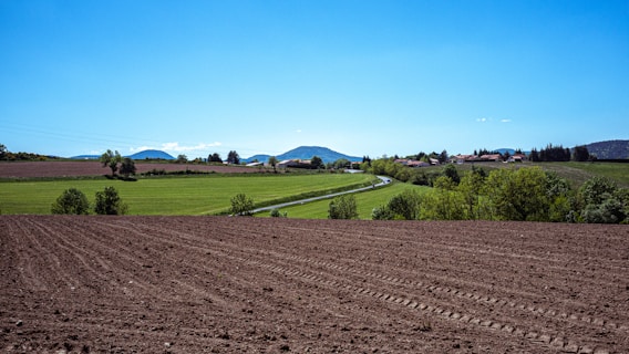green grass field under blue sky during daytime