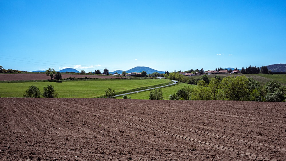 green grass field under blue sky during daytime