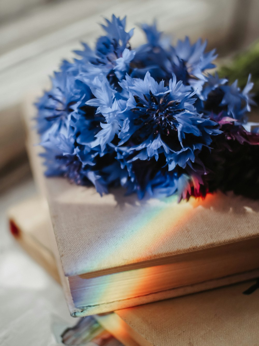 blue flowers on white book page