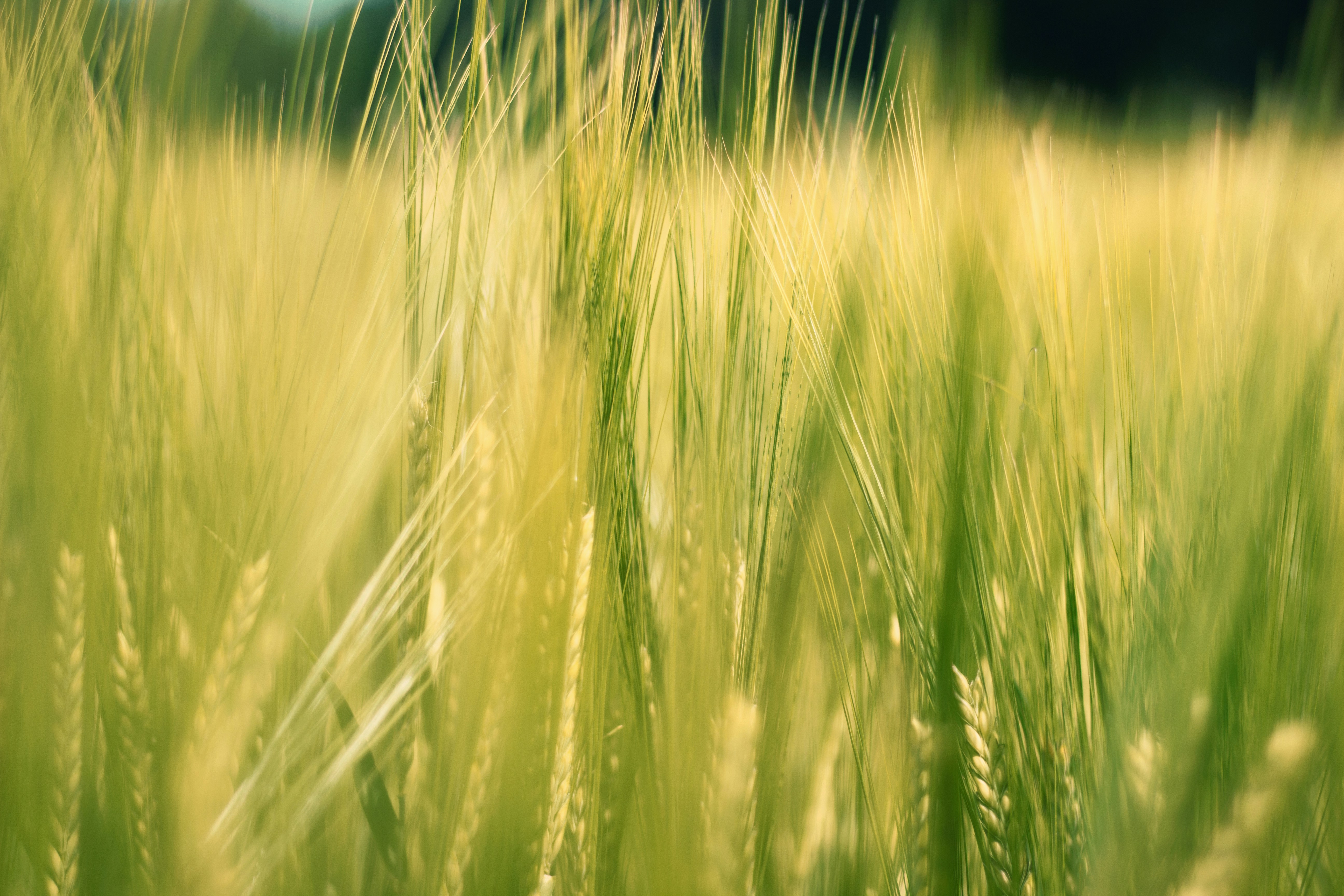 Photo by beyondxphotography