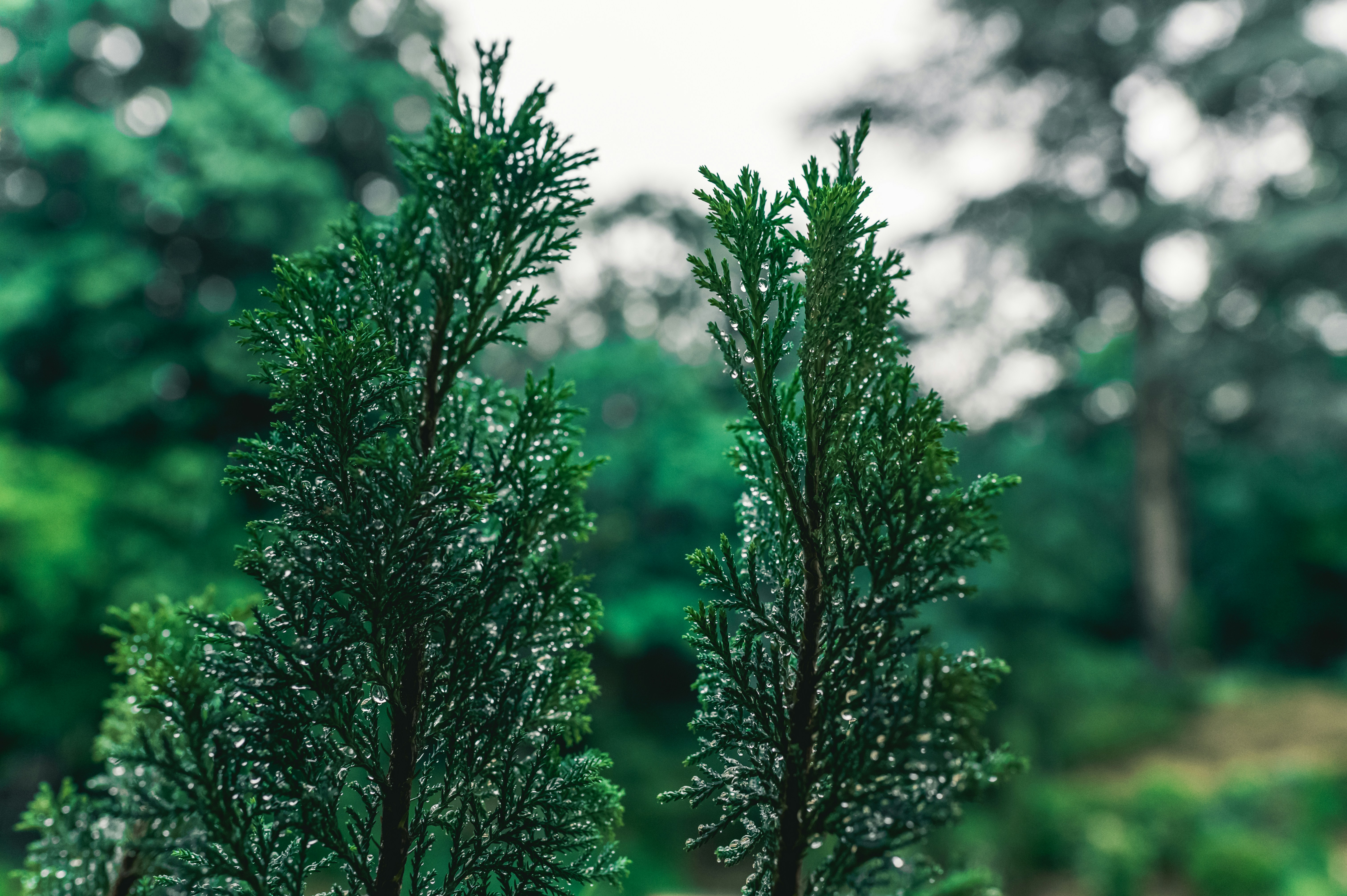 Photo by andreasbrun