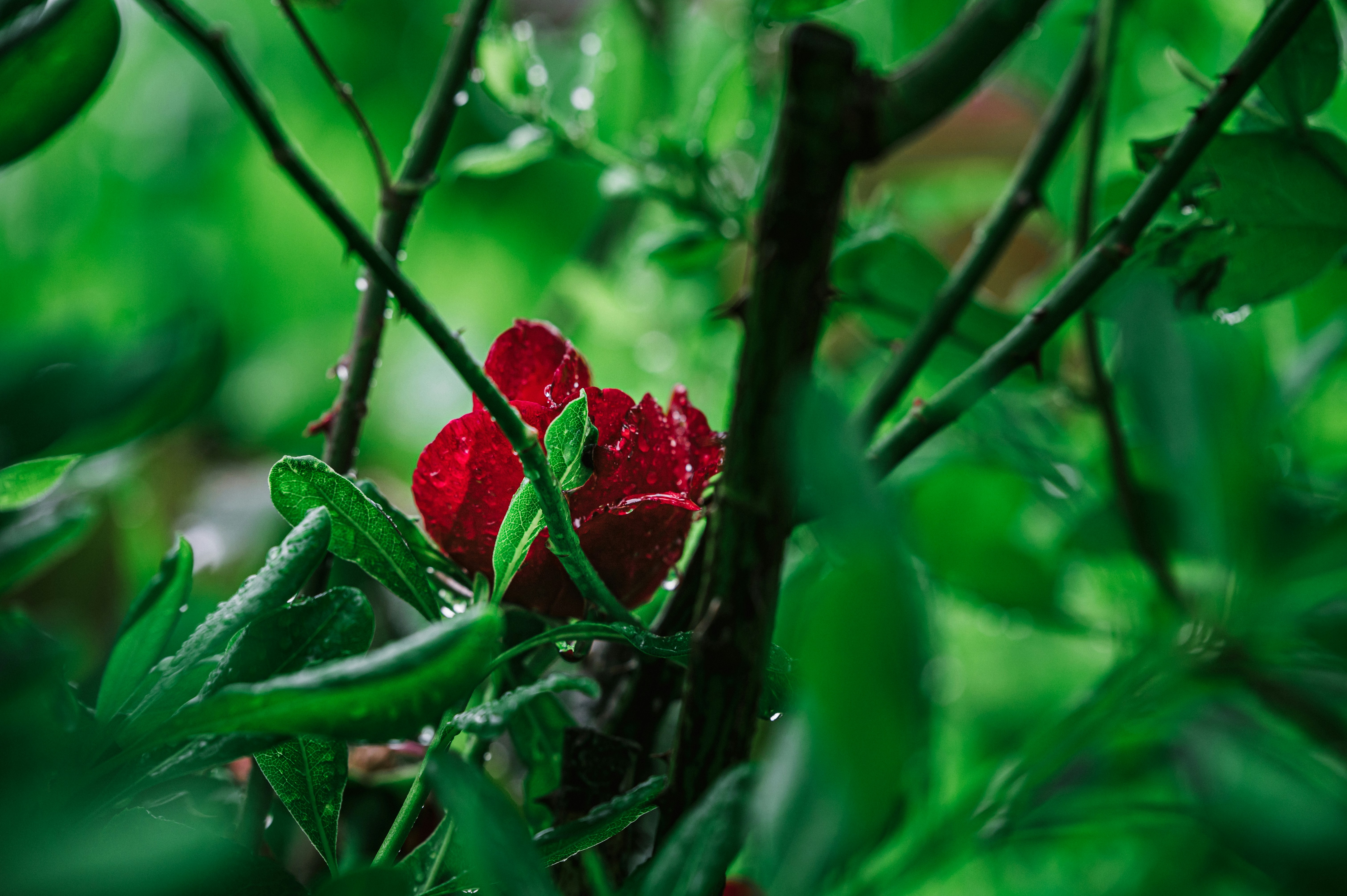Photo by andreasbrun