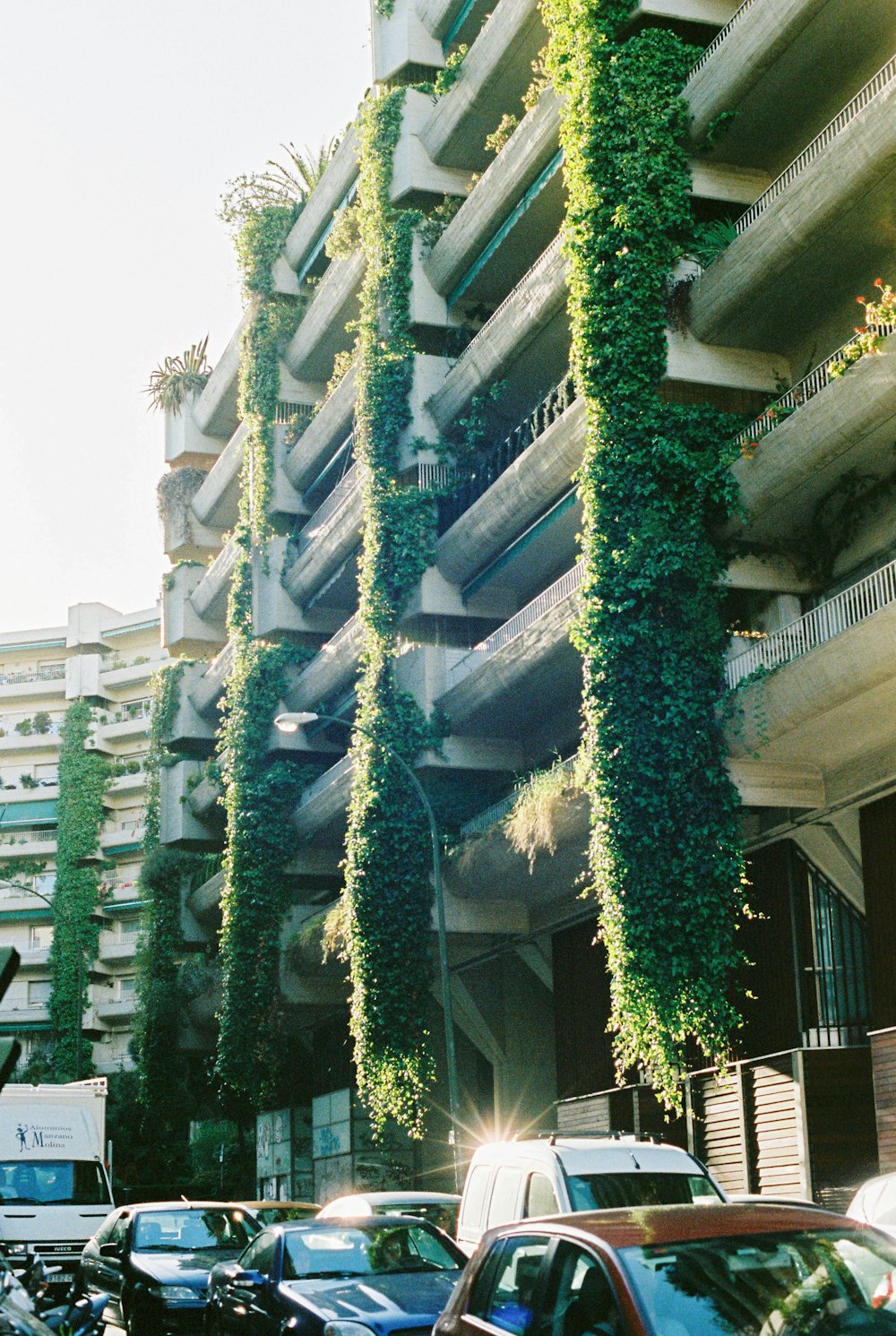 green tree near white concrete building during daytime