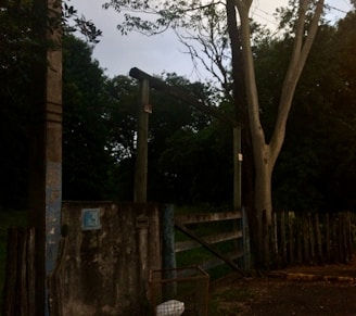 Entrance of the old stadium with rusted gates and overgrown grass around