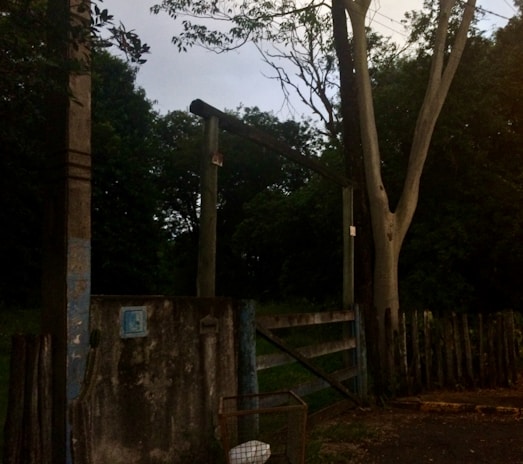 Entrance of the old stadium with rusted gates and overgrown grass around