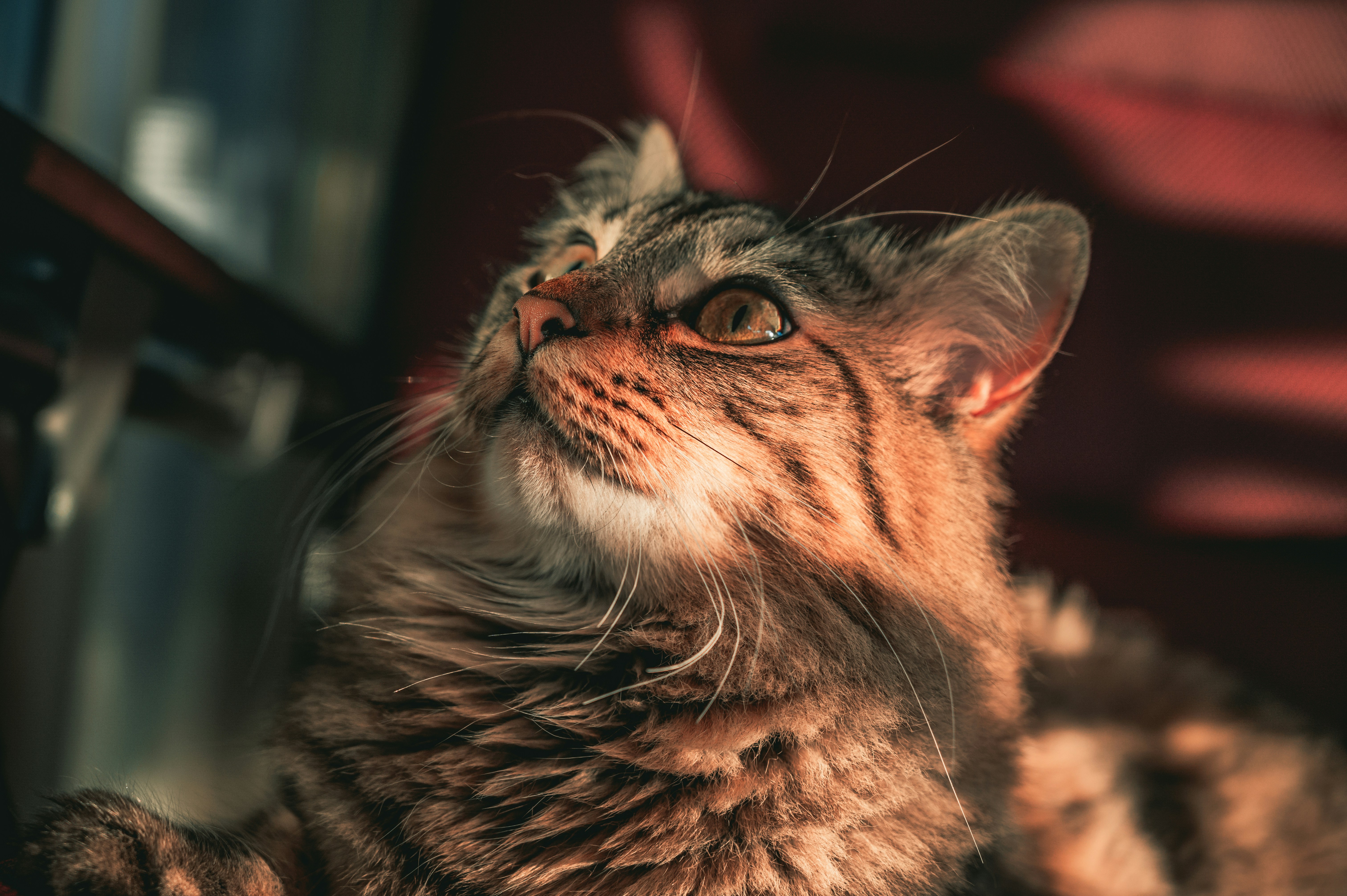 Photo by andreasbrun