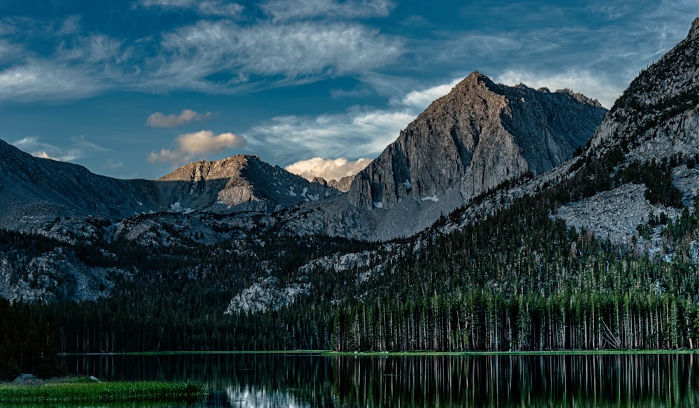 green trees near lake and mountain under blue sky during daytime