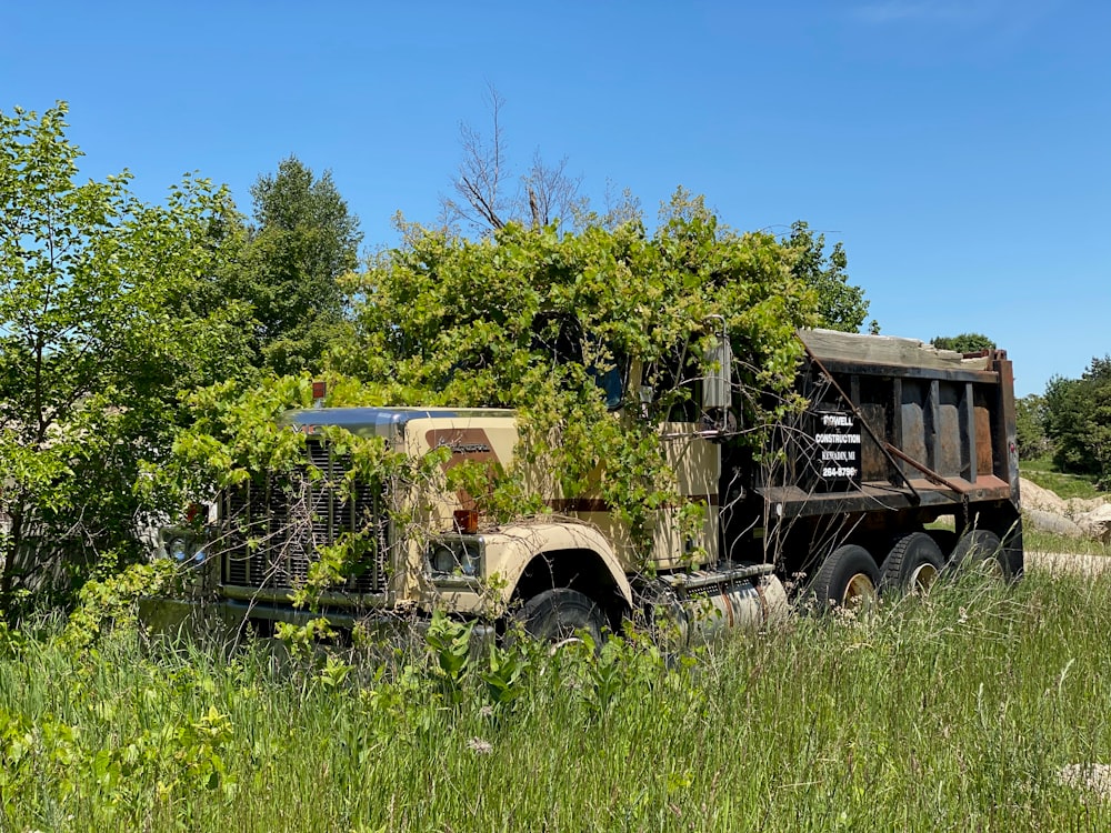 green trees beside brown and gray vintage truck during daytime