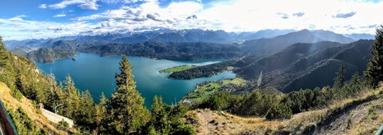 green trees and lake under blue sky and white clouds during daytime in Kochel am See Germany