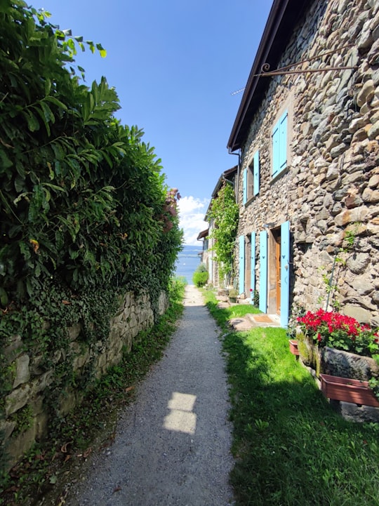 photo of Yvoire Town near Belvédère des Quatre Lacs