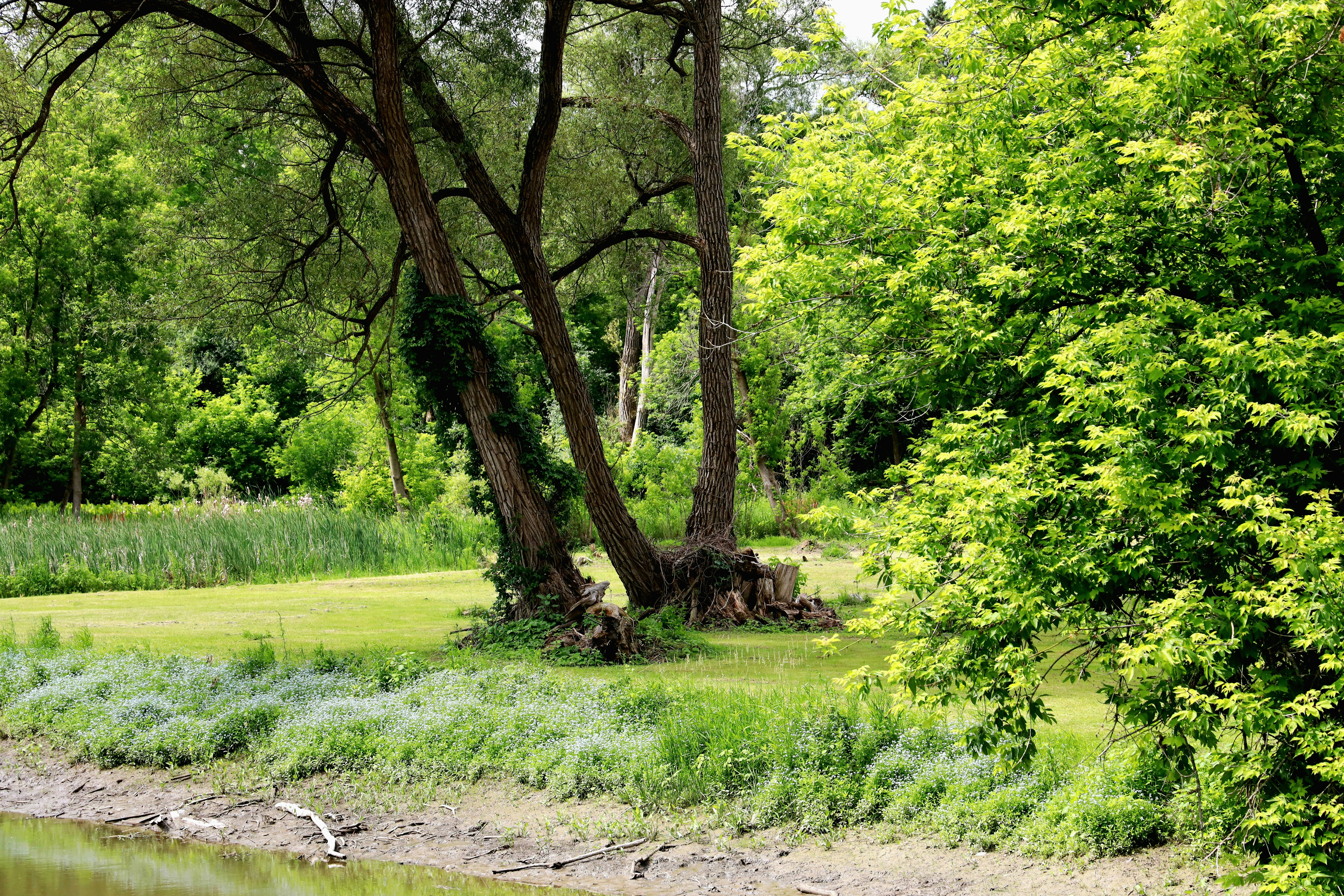 Photo by richardworks