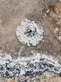 A close-up view of crystalline salt deposits forming on a rough, textured surface. The image shows patches of white salt clustered together, with a sandy, earthy brown background. The texture is uneven, with the salt crystals creating intricate patterns.