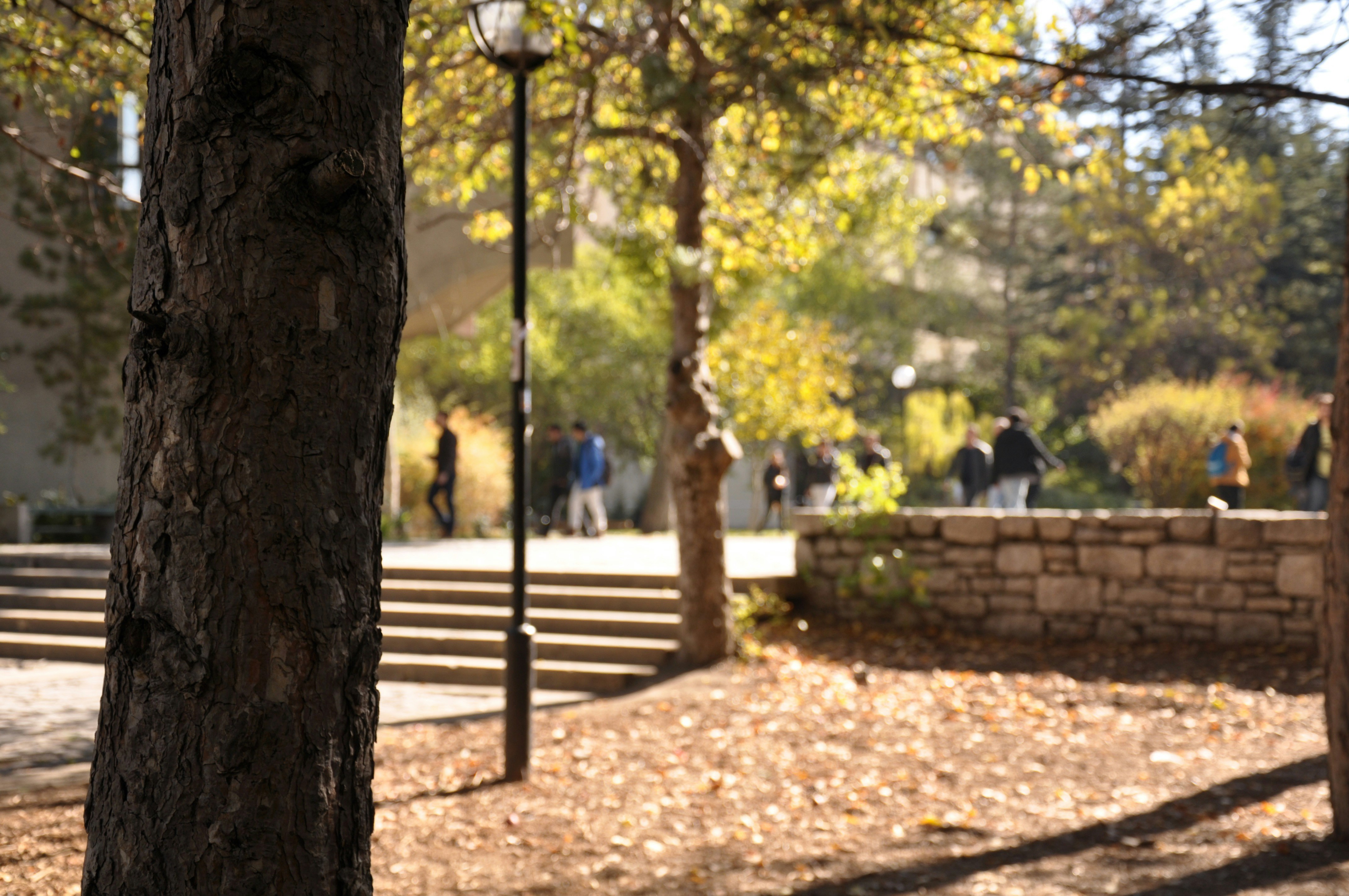 (List #10):  Campus Sustainability