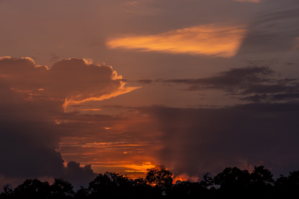 silhouette of trees under cloudy sky during sunset