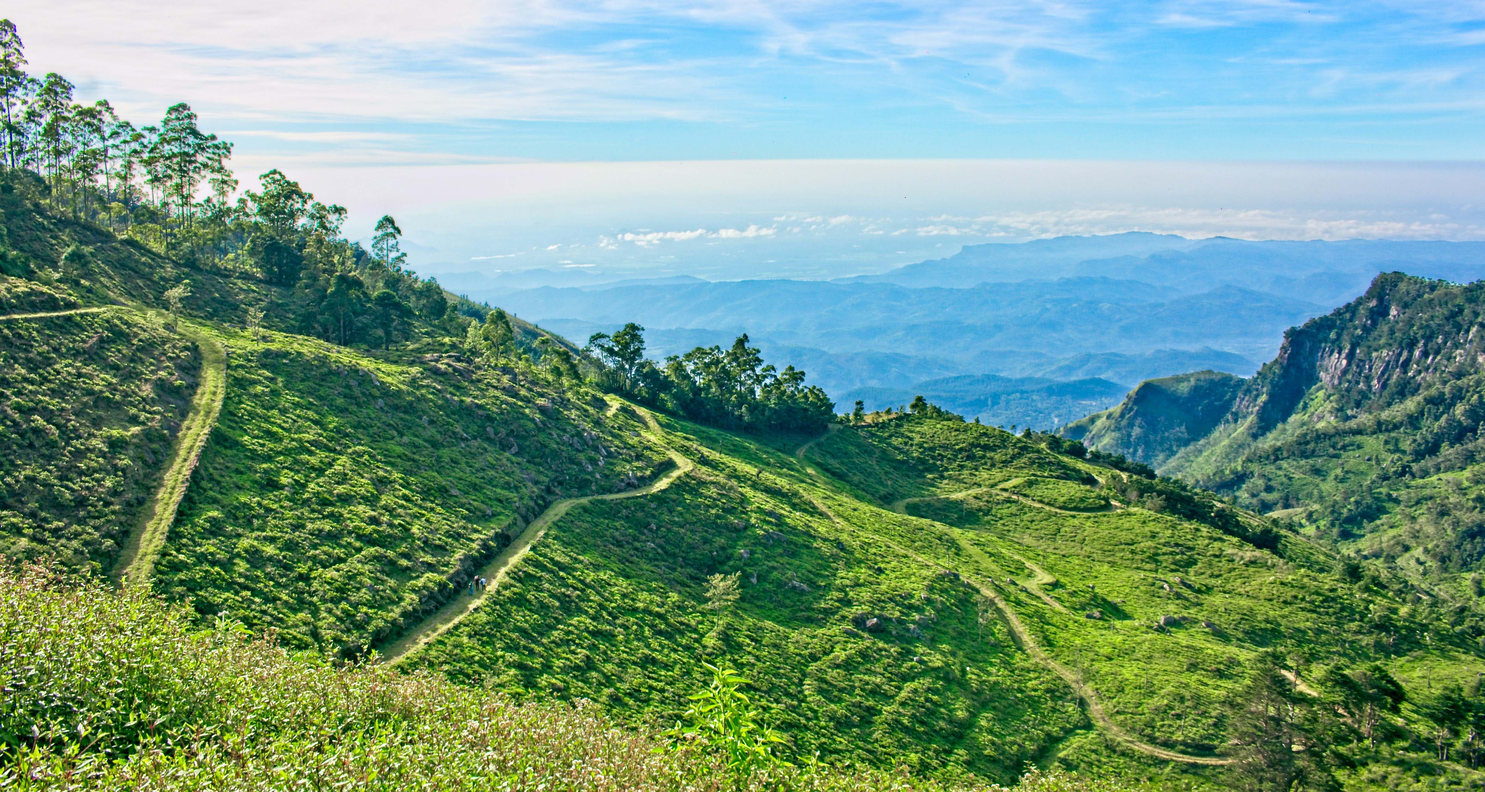 Photo by pagesoflife