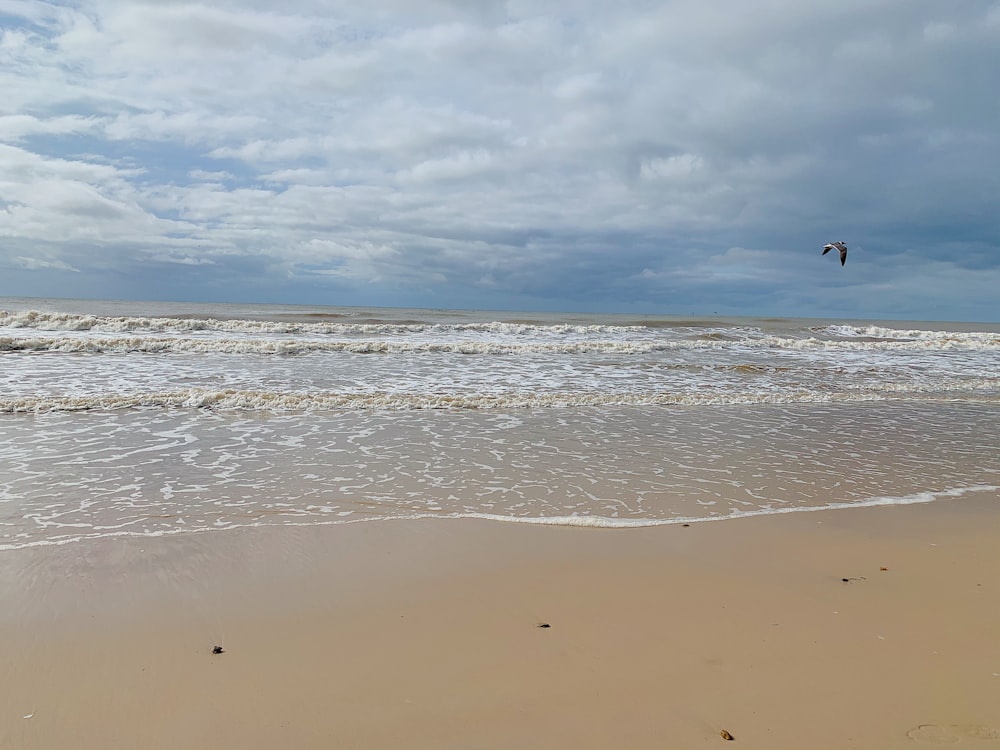 birds flying over the sea during daytime