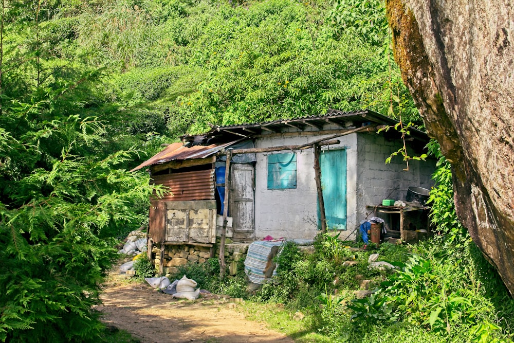 blue wooden house near green trees during daytime