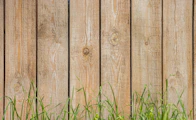green grass beside brown wooden fence