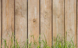 green grass beside brown wooden fence