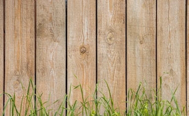 green grass beside brown wooden fence