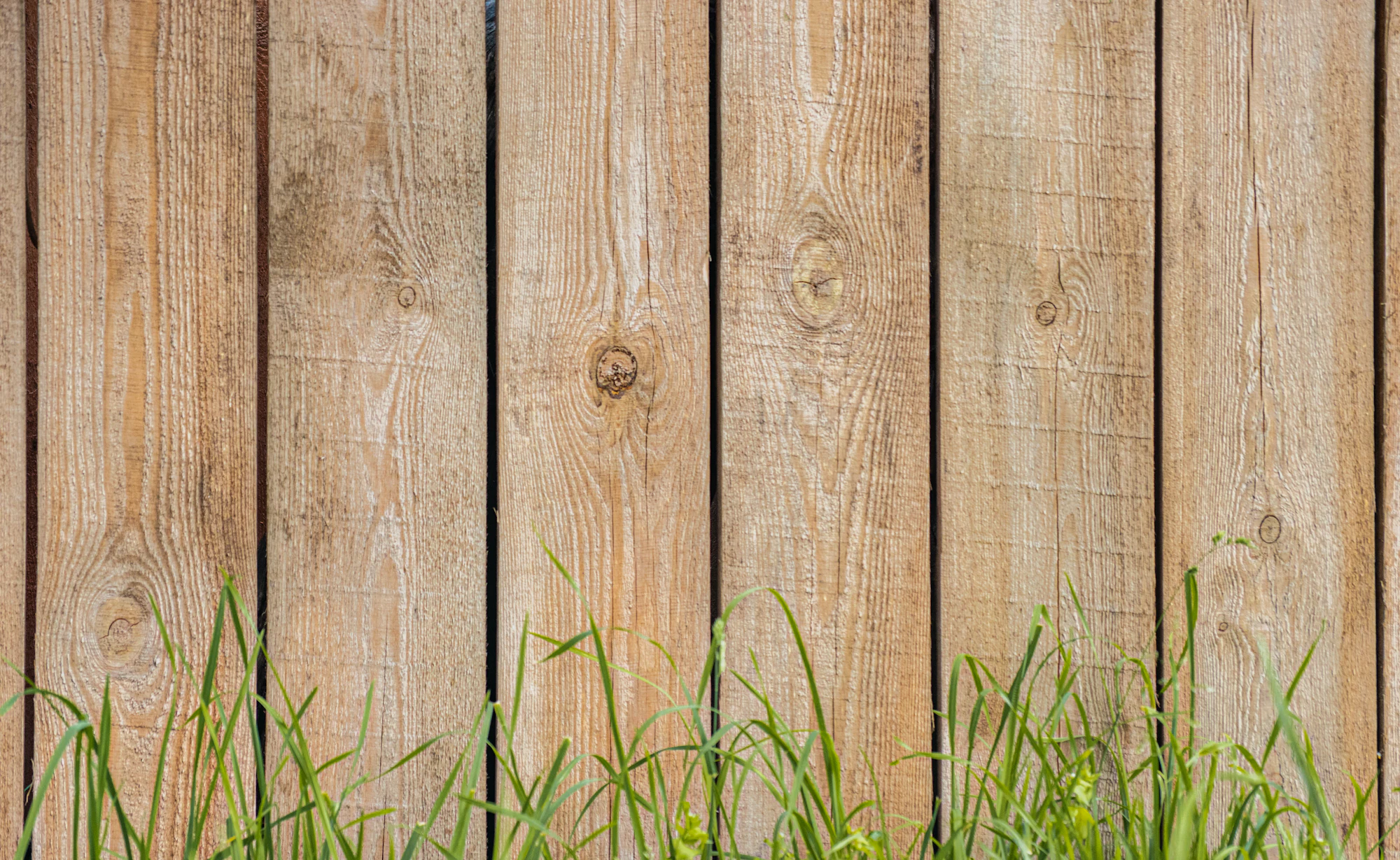 A finished cedar privacy fence running along a mown lawn on an overcast day.