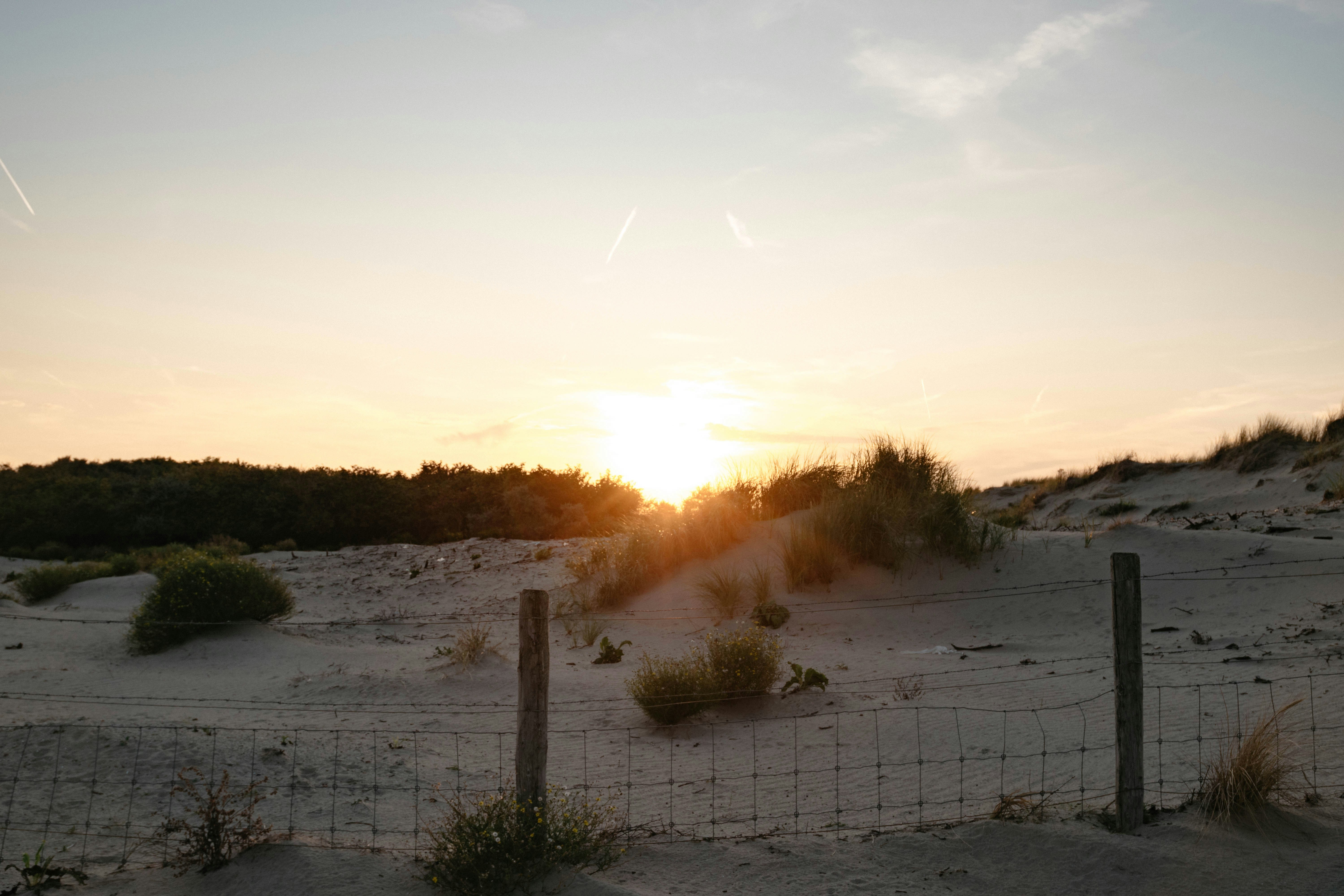Photo by stueckchen