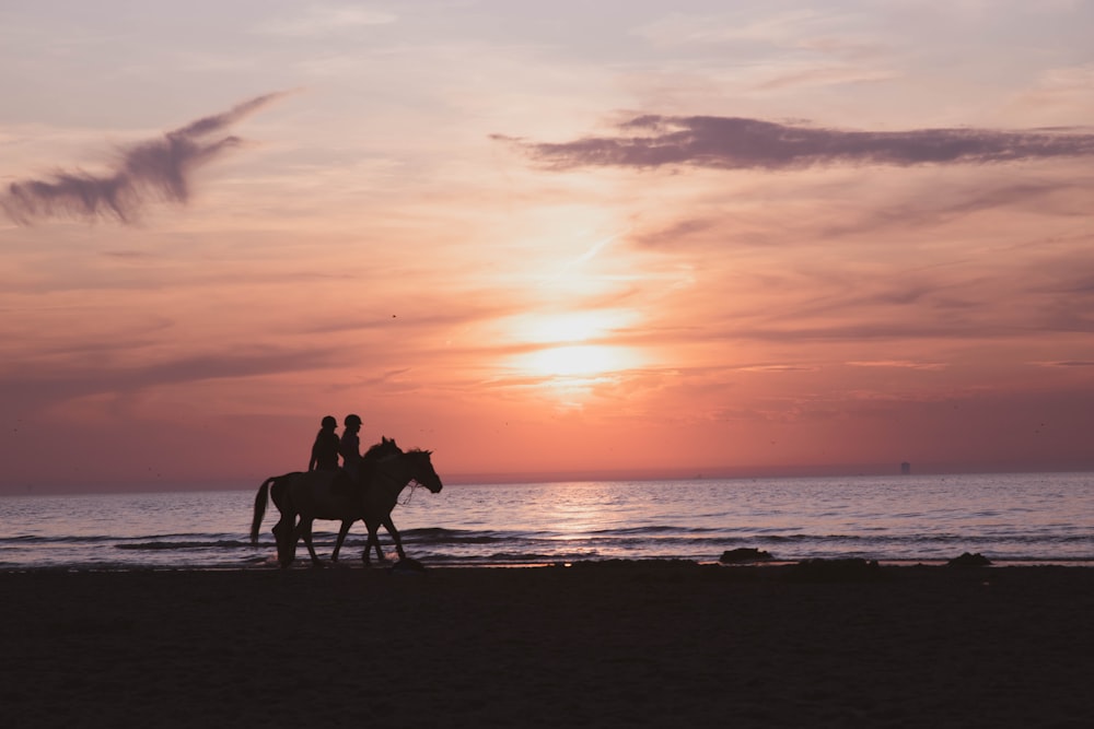 silhouette of 2 people riding horses on beach during sunset