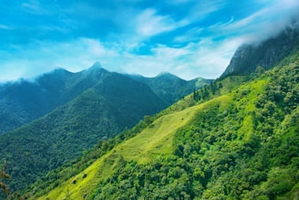 green mountains under blue sky during daytime