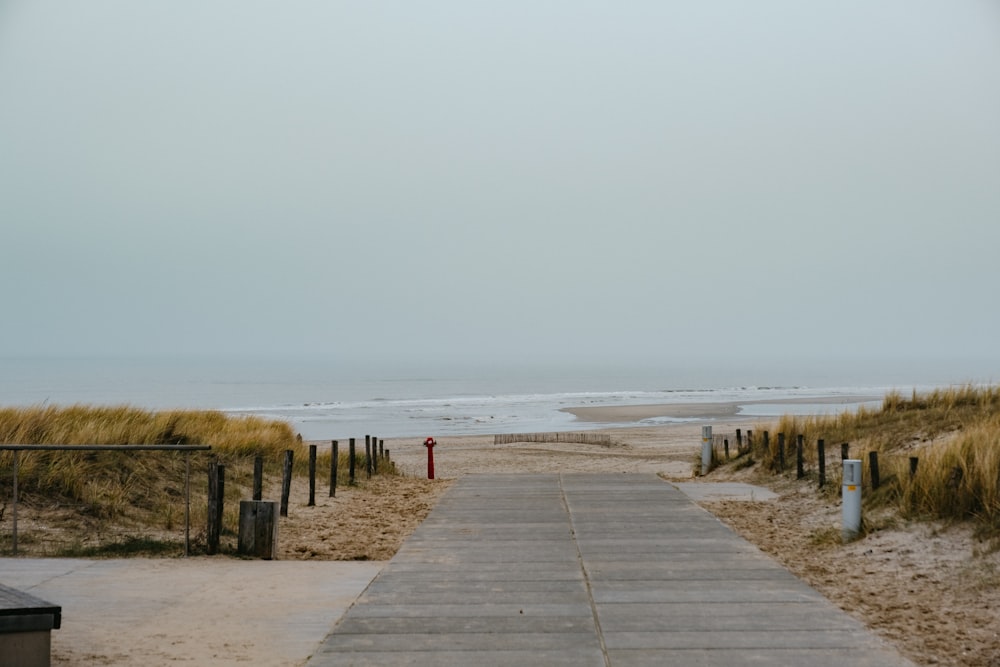 brown wooden dock on sea during daytime