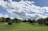 A clean, white golf cart parked on a lush green golf course under a bright blue sky.