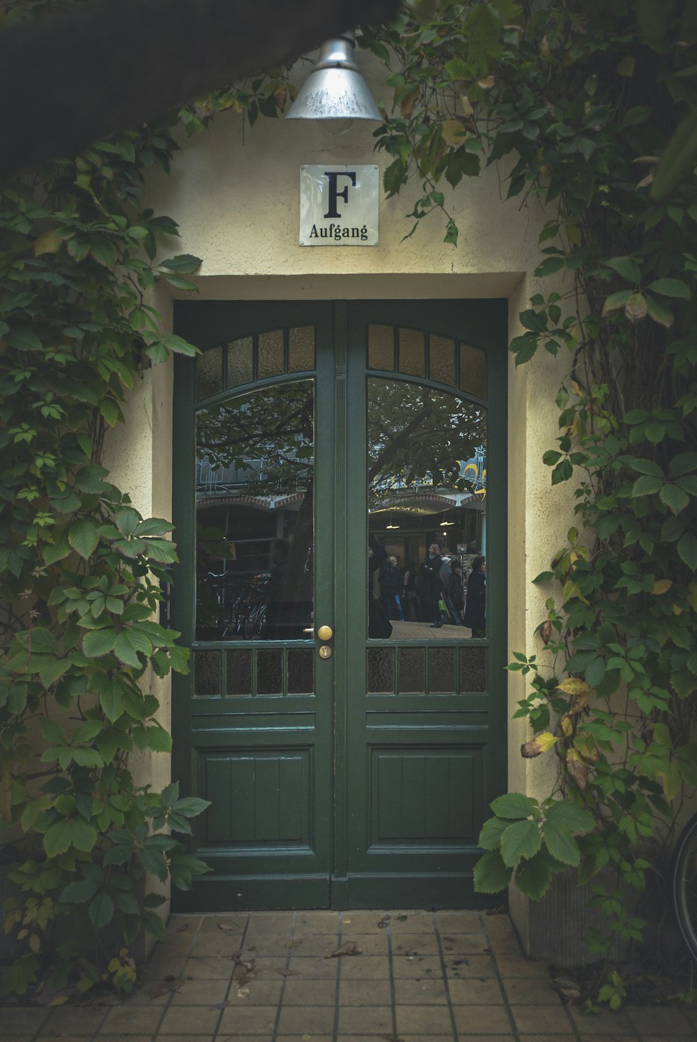 green wooden door with green plants