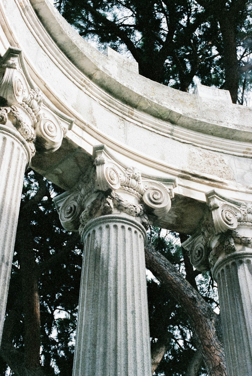 gray concrete pillar with green plants