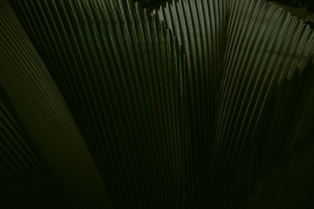 green and black striped textile