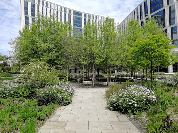 Scenic pathway lined with vibrant greenery leading to the hotel entrance