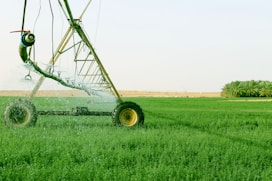 black and yellow tractor on green grass field during daytime
