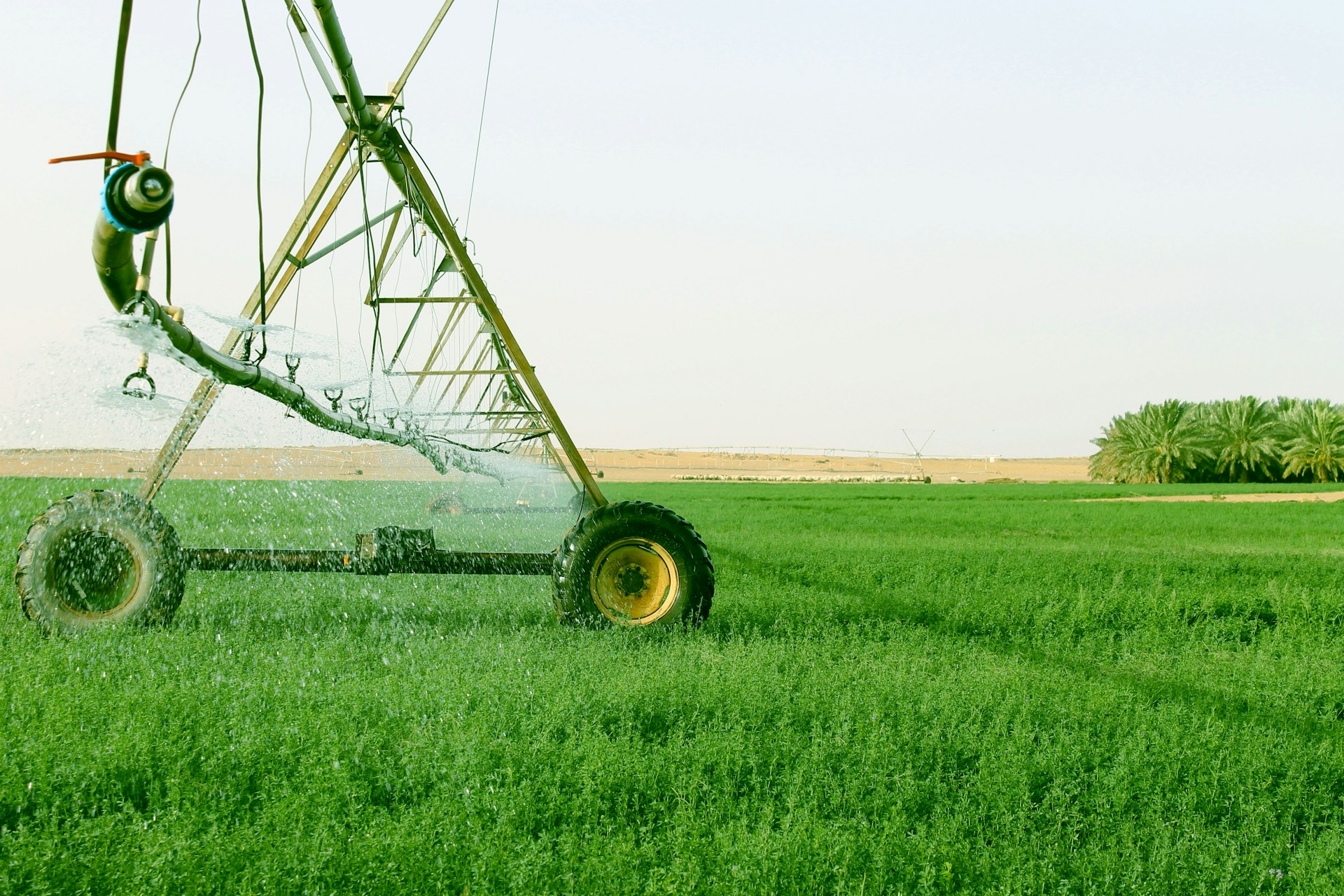 black and yellow tractor on green grass field during daytime