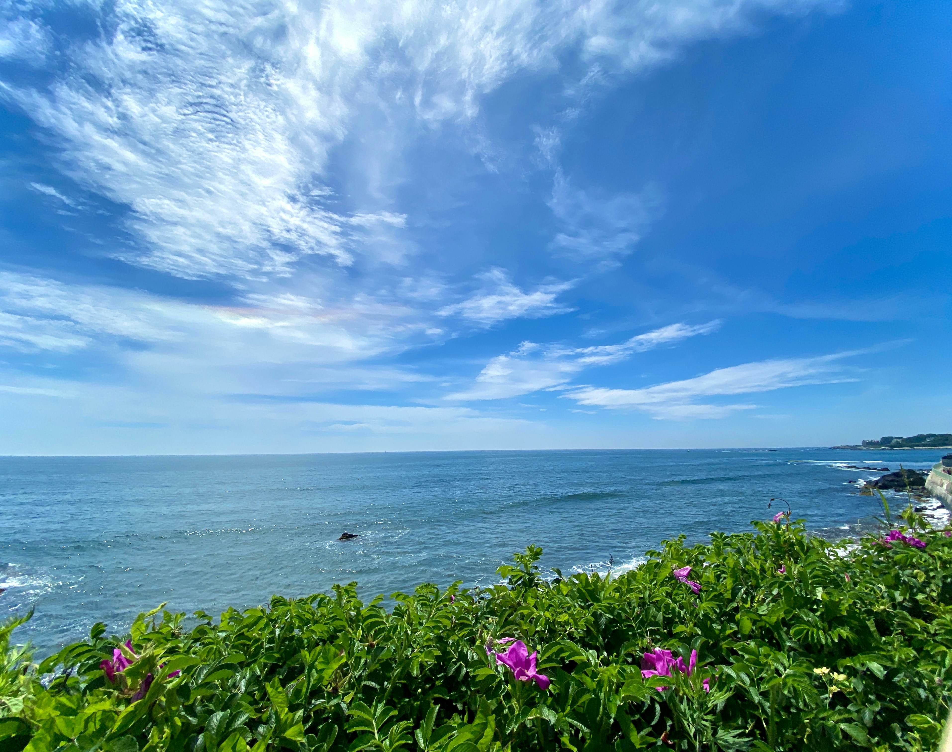 Photo by nothingaholic