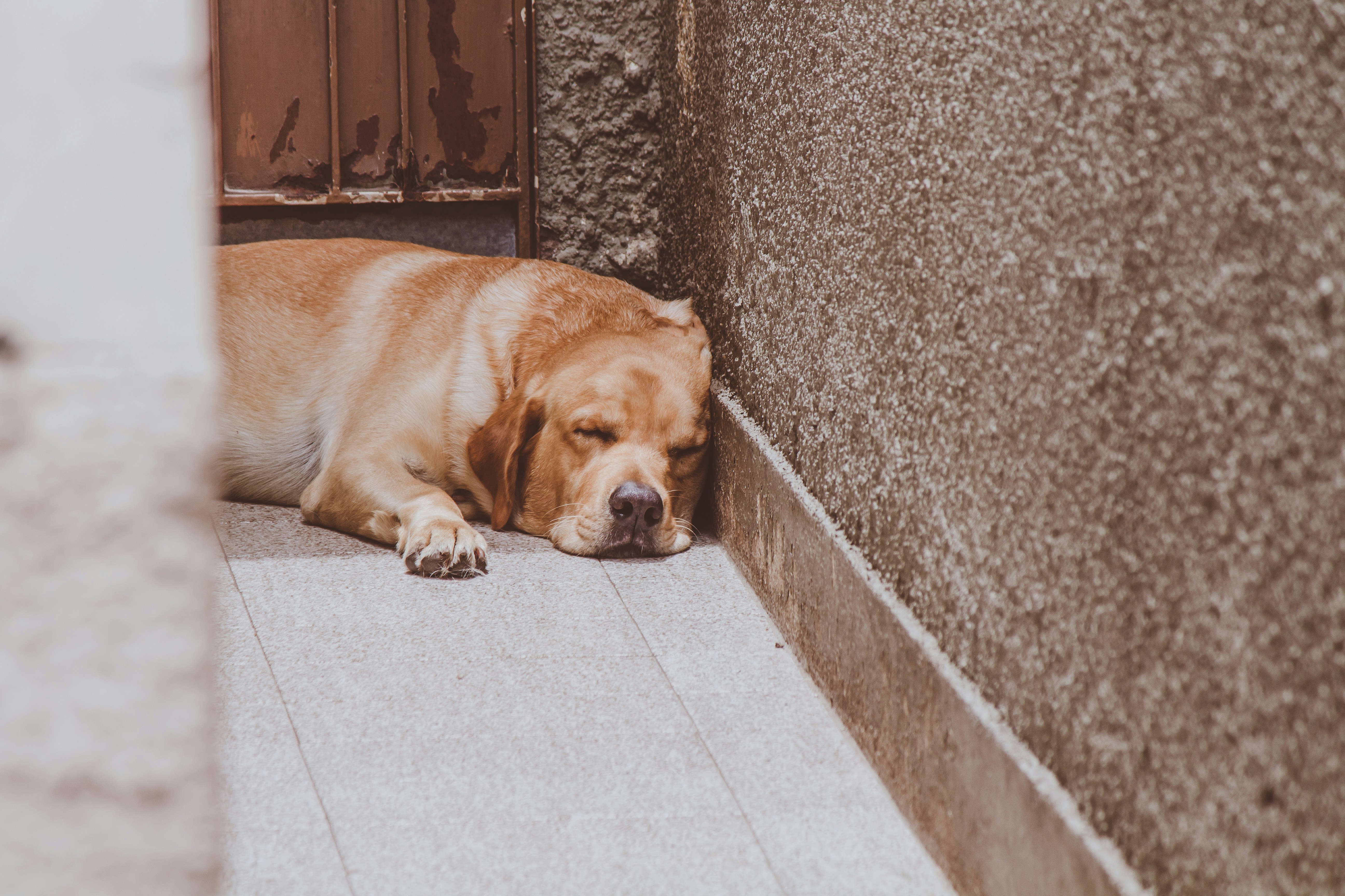 Photo by claudiolcastro