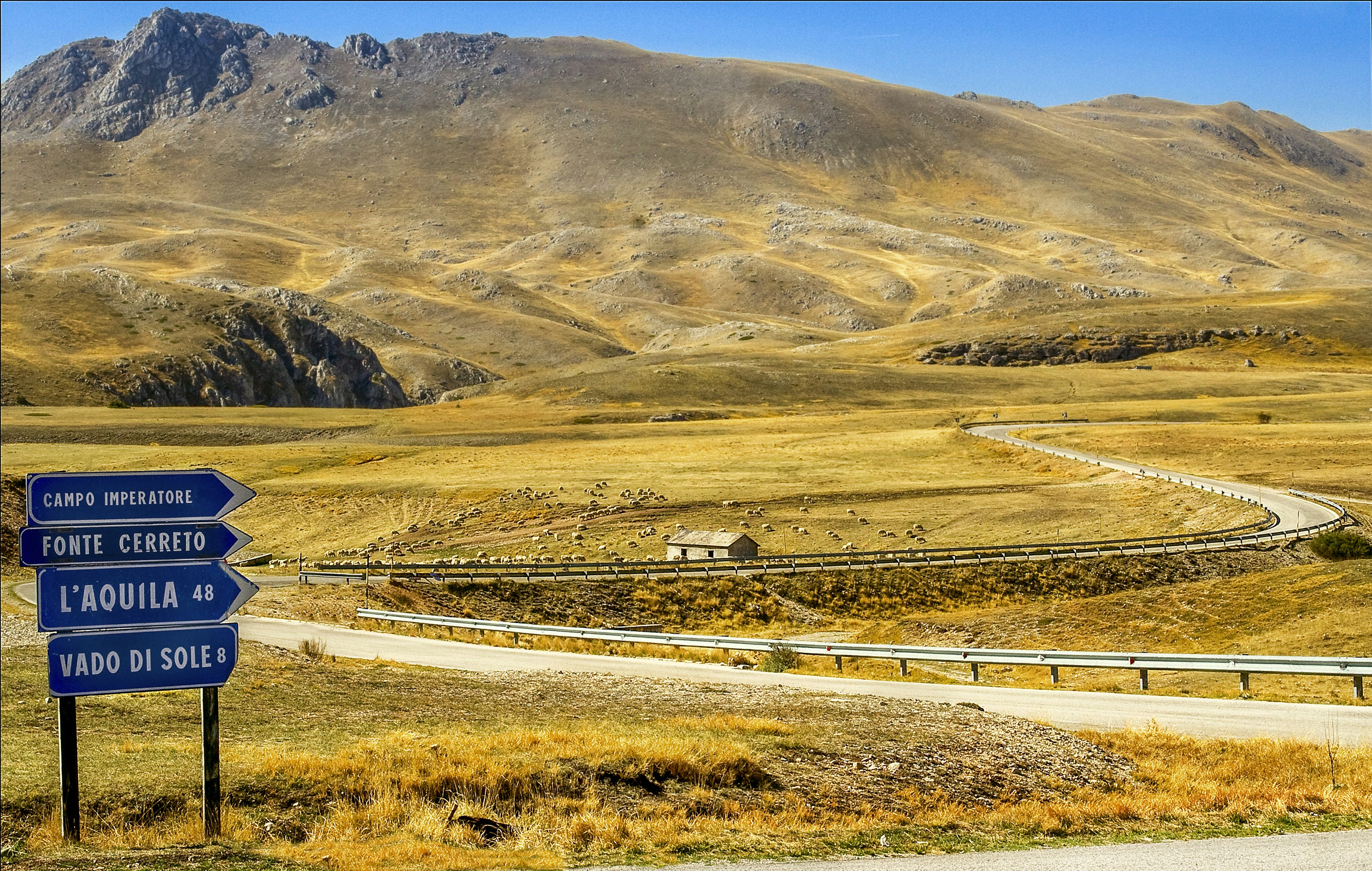 Photo by sterlinglanier