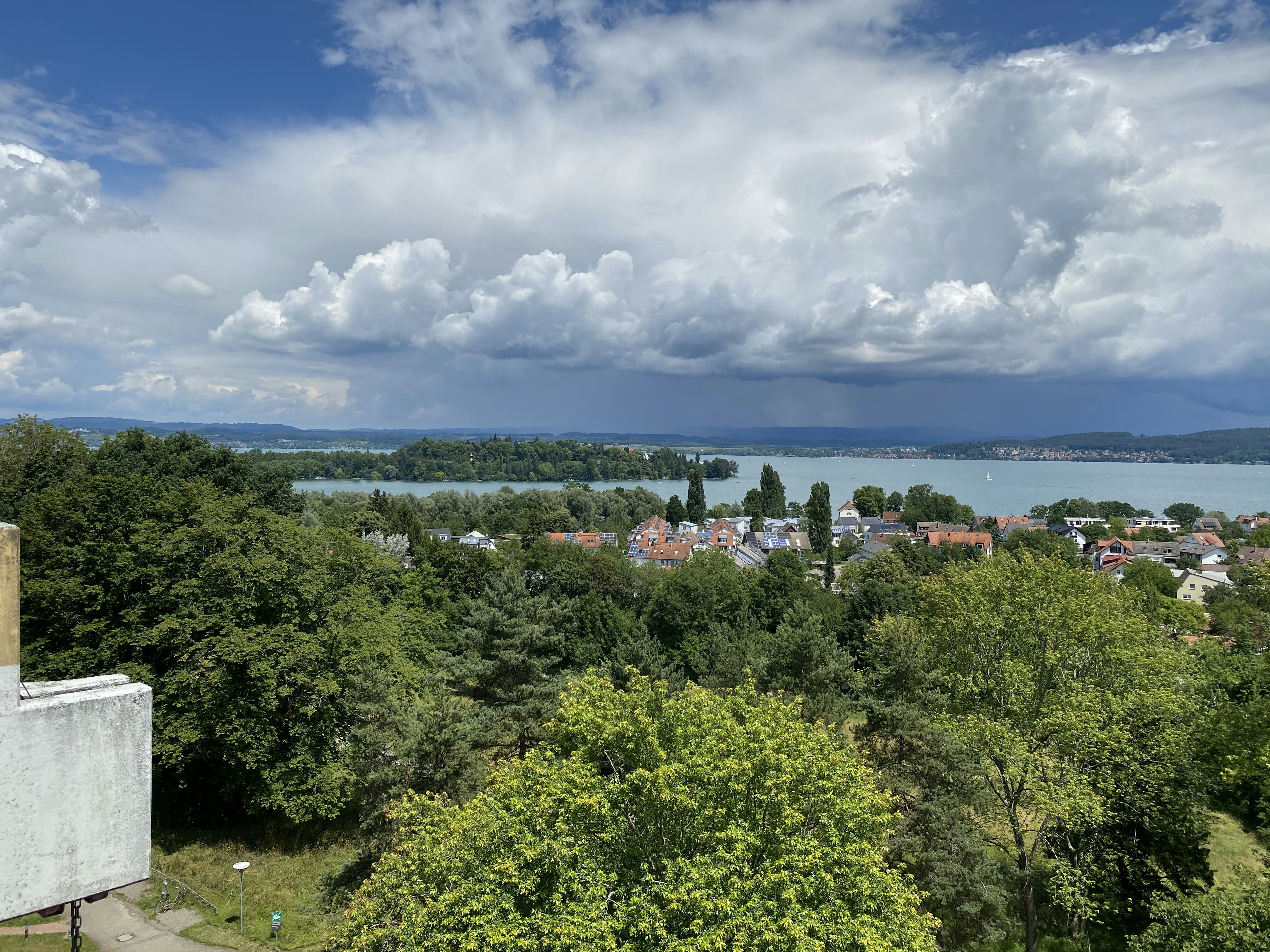 Green trees near body of water under blue sky during daytime photo ...