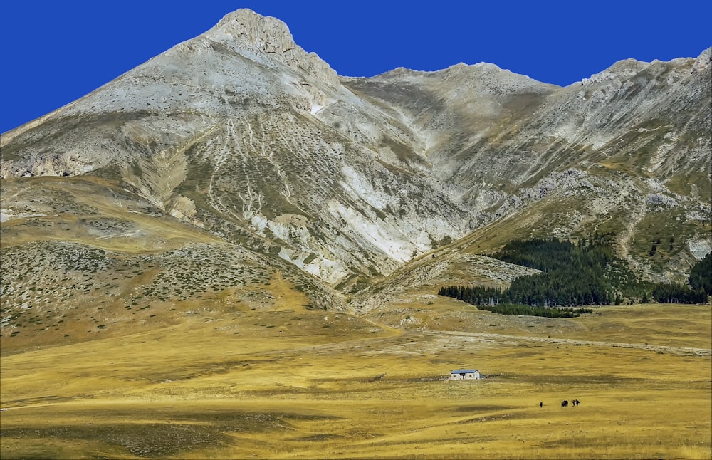 Campo de hierba verde cerca de la montaña durante el día