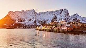 brown wooden house on body of water near mountain during daytime