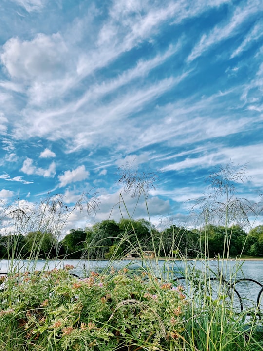 green grass field under blue sky during daytime in Hyde Park United Kingdom