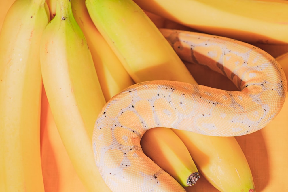 yellow banana fruit on brown wooden table