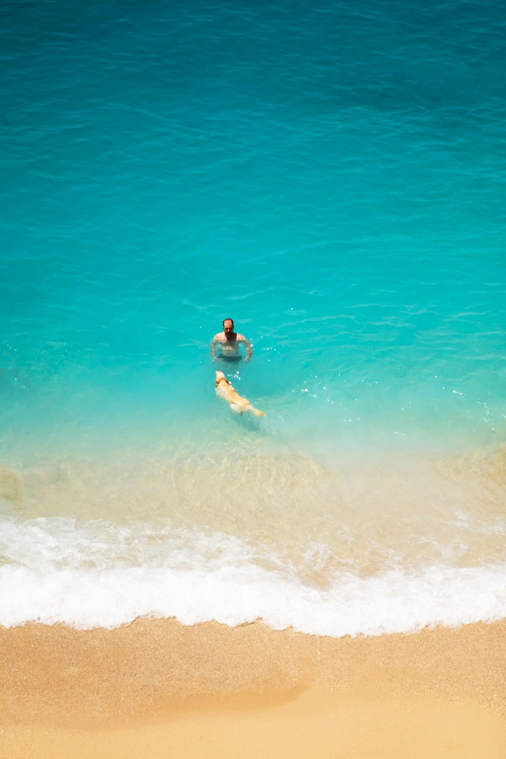 woman in black bikini on beach during daytime