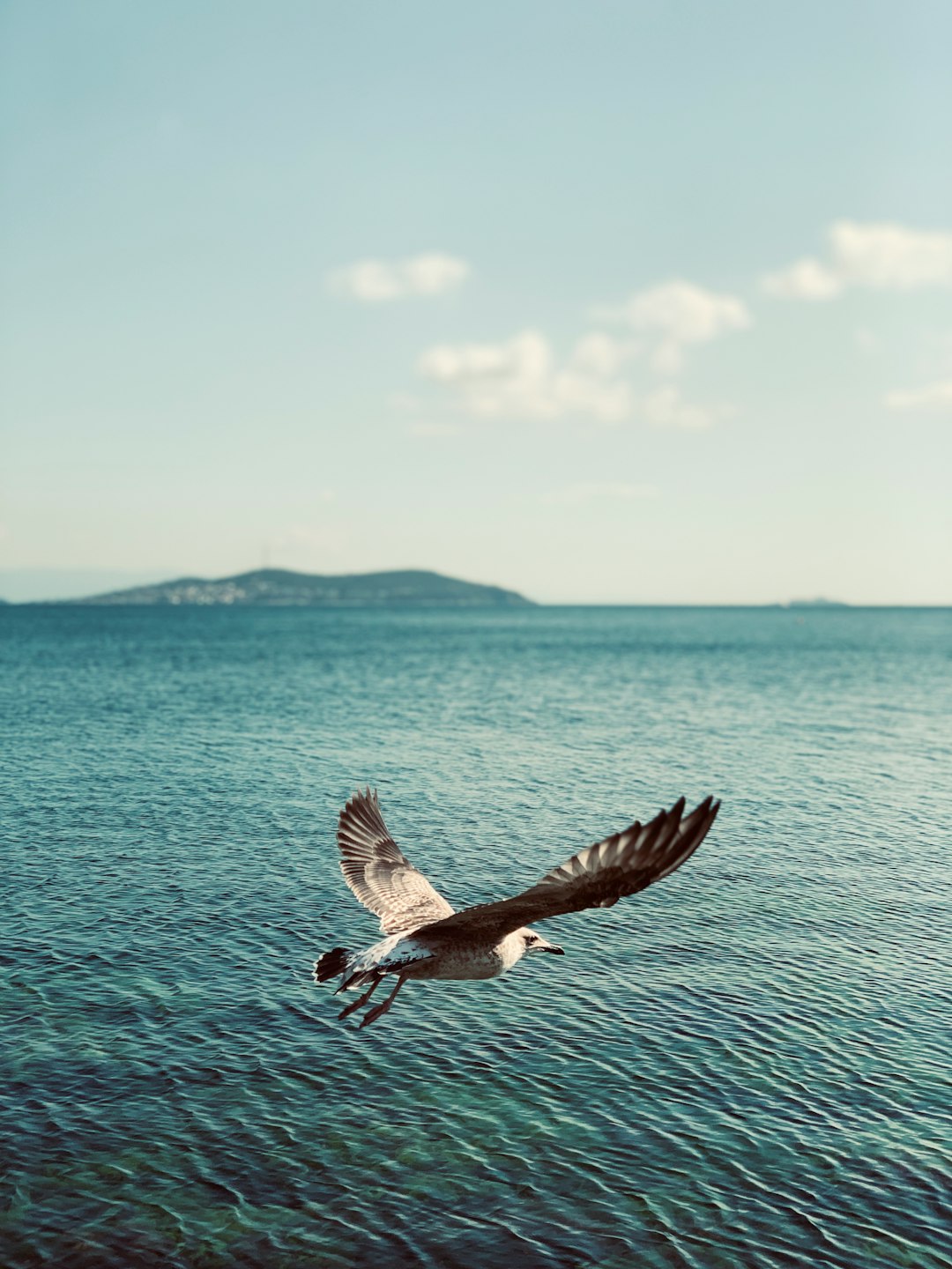 Ocean photo spot İstanbul Sinanpaşa Mahallesi