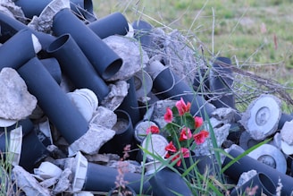 A pile of large black cylindrical pipes and pieces of concrete is scattered in an outdoor setting with a grassy background. Among the rubble, a vibrant red flowering plant with lush green leaves stands out, adding a touch of color to the otherwise dull scene.
