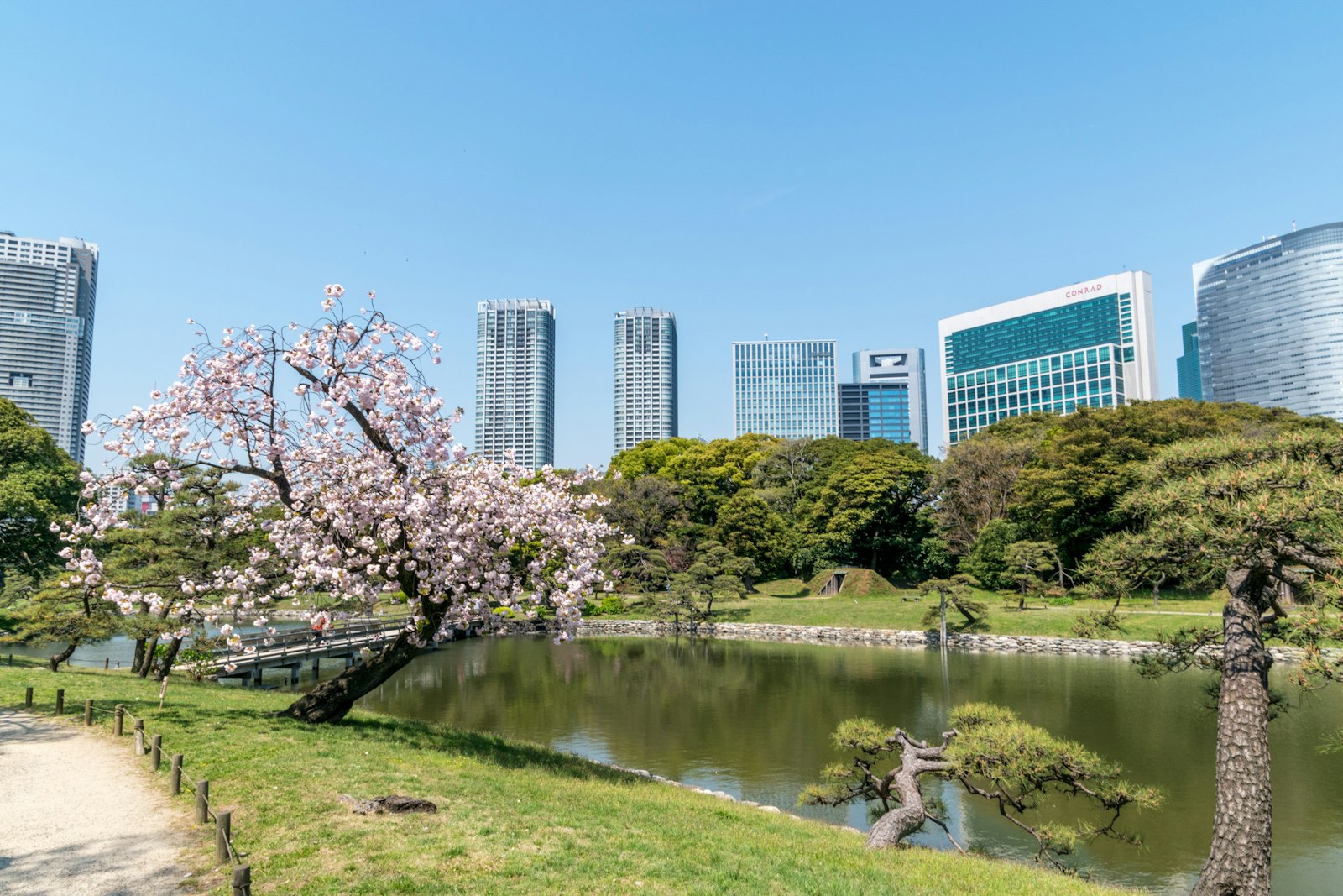 Okutama Guide: Tokyo's Wild Mountain Frontier