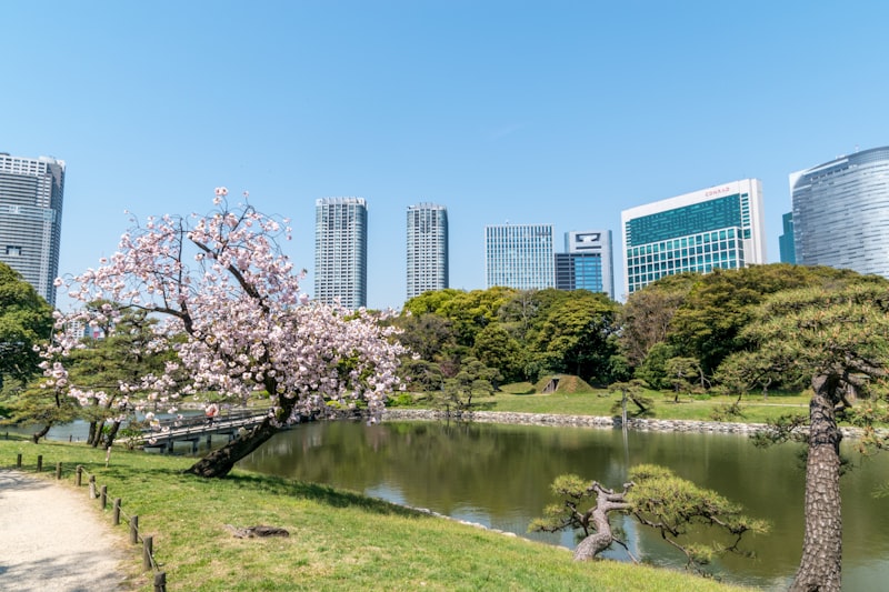 Hamarikyu Gardens